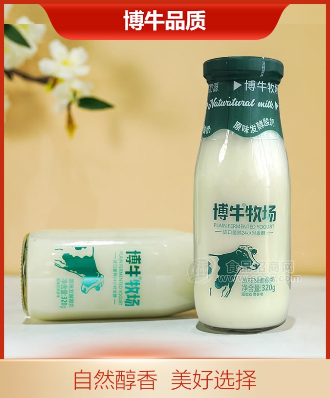 原味发酵酸奶